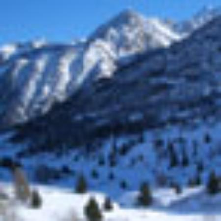 Les P'tits Plats D'audrey